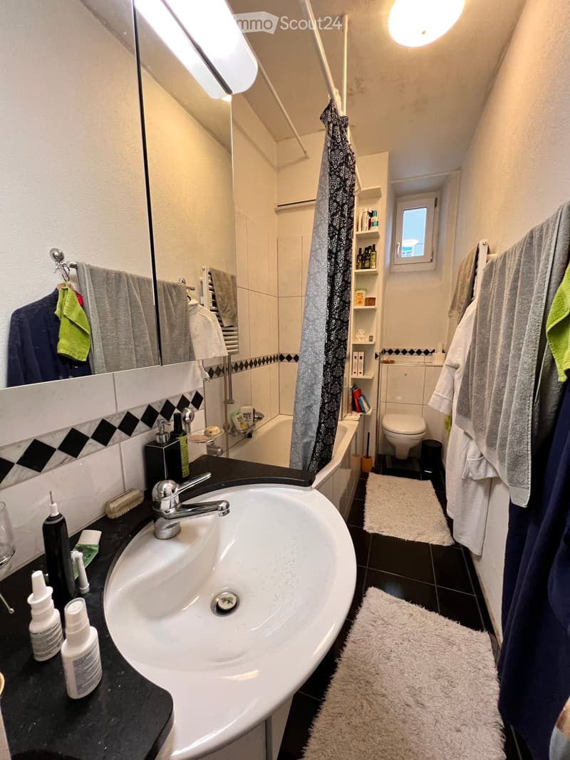 Bathroom with a white sink, mirror, toilet, bathtub, and shelves. Towels and a rug are visible, along with personal care items on the sink counter.