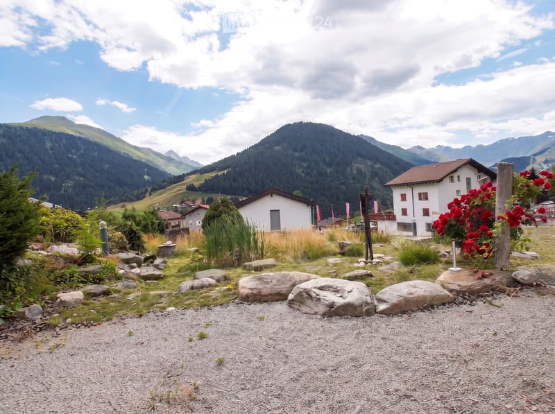 A serene garden area with scattered rocks, small plants, and a gravel pathway, surrounded by lush greenery and distant mountain views.
