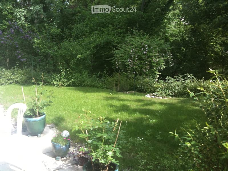 Well-maintained garden with a lush green lawn, various potted plants, and dense trees and shrubs providing a natural backdrop.