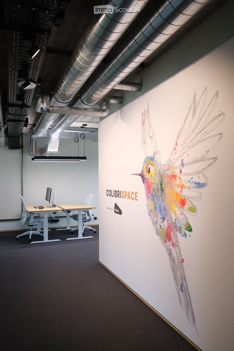 Modern office space with a desk, chairs, computer monitor, and a colorful bird mural on the wall.
