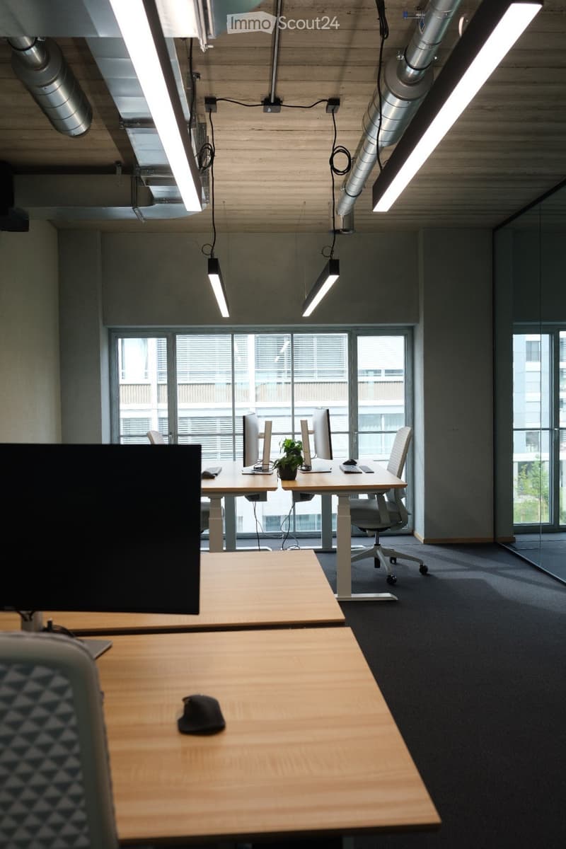 Modern office space with wooden tables, ergonomic chairs, computers, keyboards, mice, and a small plant on a desk.