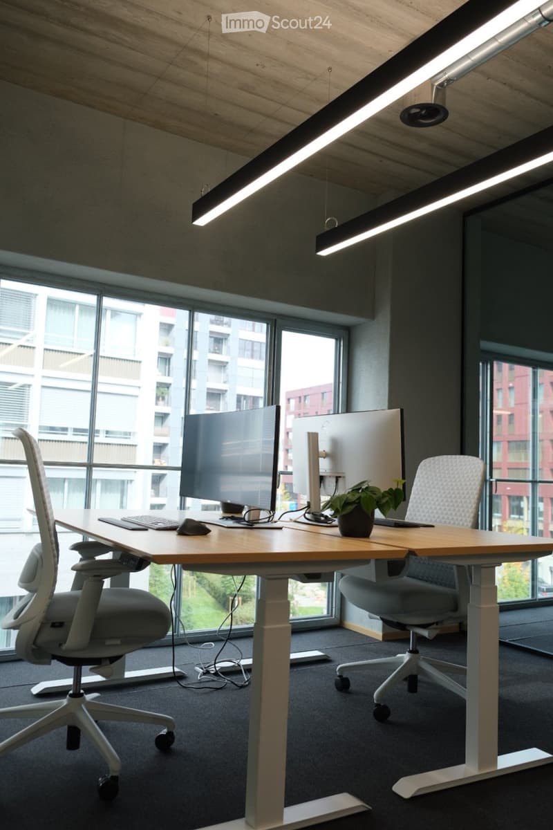 Modern office space with a large wooden desk, ergonomic chairs, dual monitors, keyboard, mouse, laptop, and a small potted plant. Large windows provide natural light.