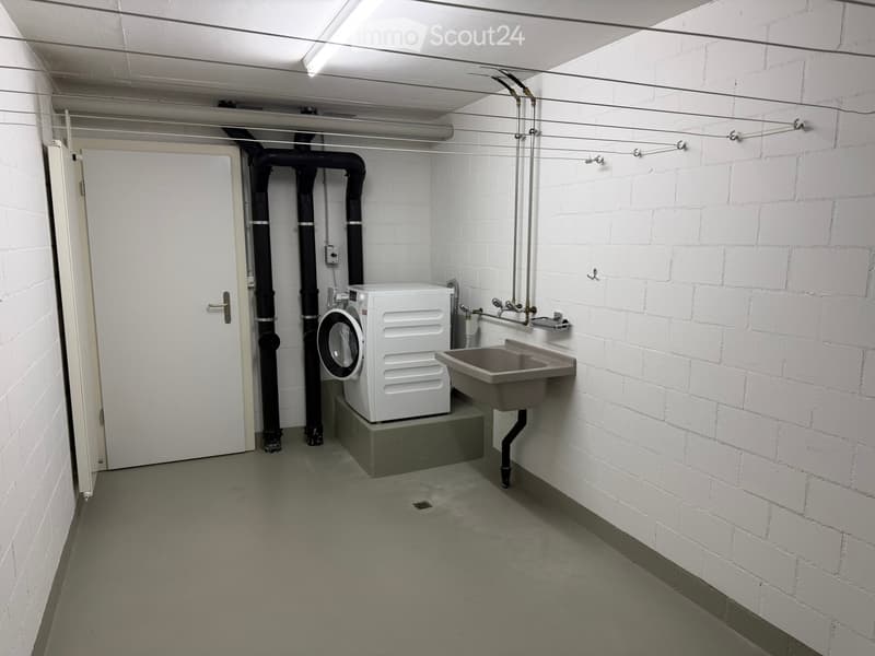 Utility room with a washing machine, sink, and exposed pipes.