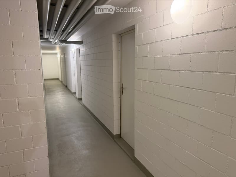 A narrow hallway with light grey brick walls, a concrete floor, and a closed door at the end.