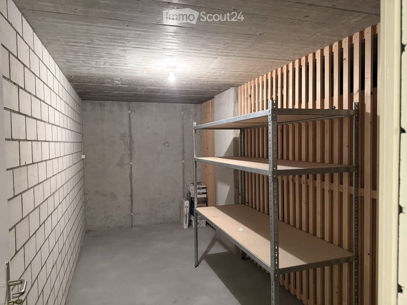Empty room with exposed brick wall, concrete floor, and metal shelving unit. Wooden paneling on one wall and a light fixture on the ceiling.