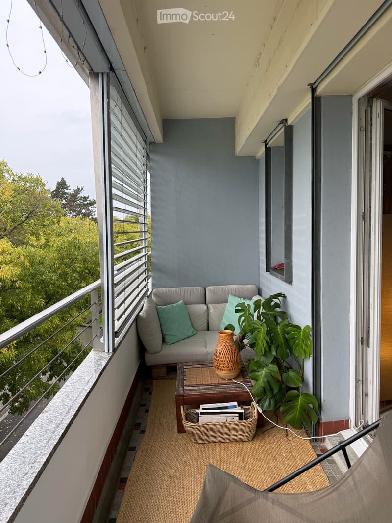 Magnifique appartement de 1.5 pièce avec terrasse plein sud et vue sur le lac (3)