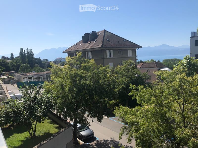Balcony view of a residential area with trees, parked car, and distant mountains and lake.