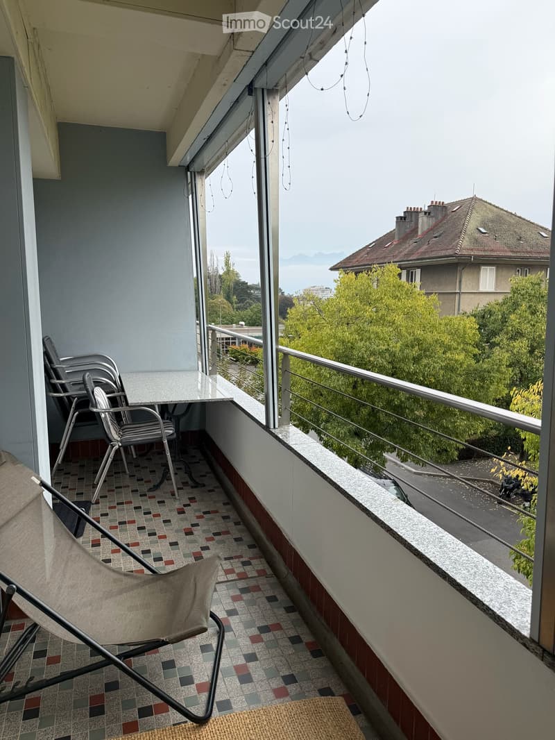 Magnifique appartement de 1.5 pièce avec terrasse plein sud et vue sur le lac (4)