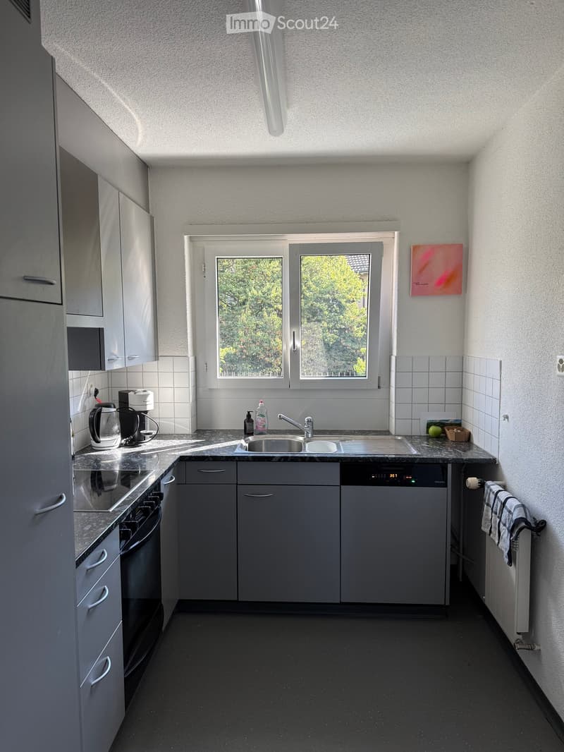 Modern kitchen with grey cabinets, black countertops, stainless steel appliances, and a window overlooking greenery.