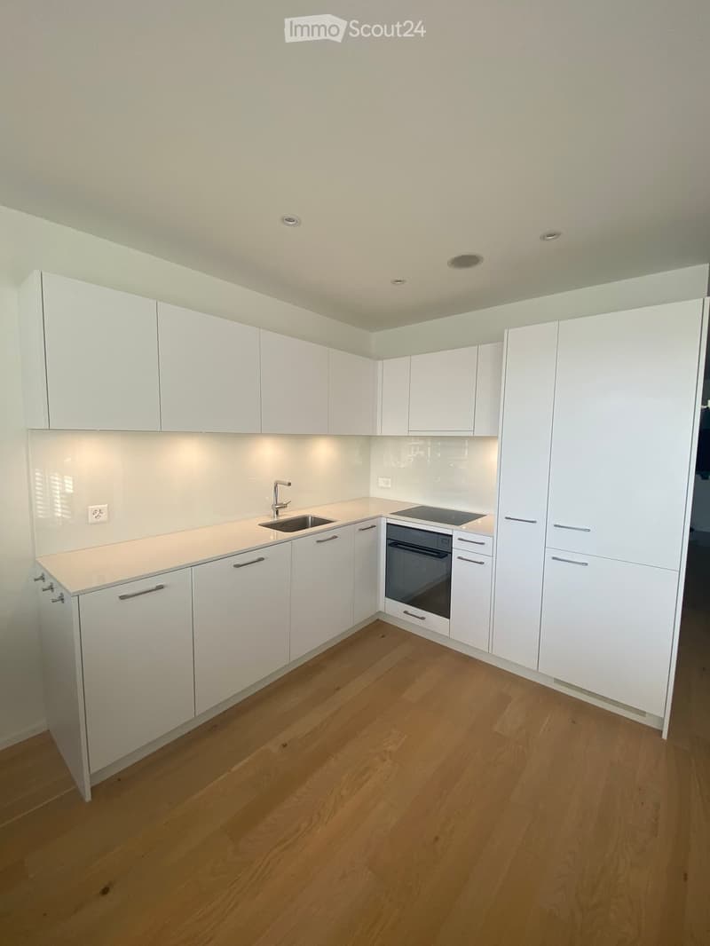 Modern kitchen with white cabinets, wooden flooring, and built-in appliances including a sink and oven.
