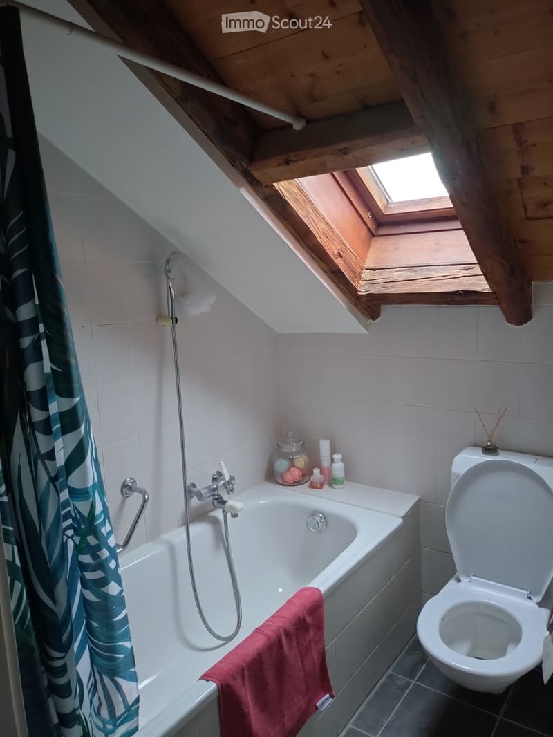 Cozy attic bathroom with a skylight, featuring a bathtub, toilet, and various bathroom accessories on the edge of the tub.
