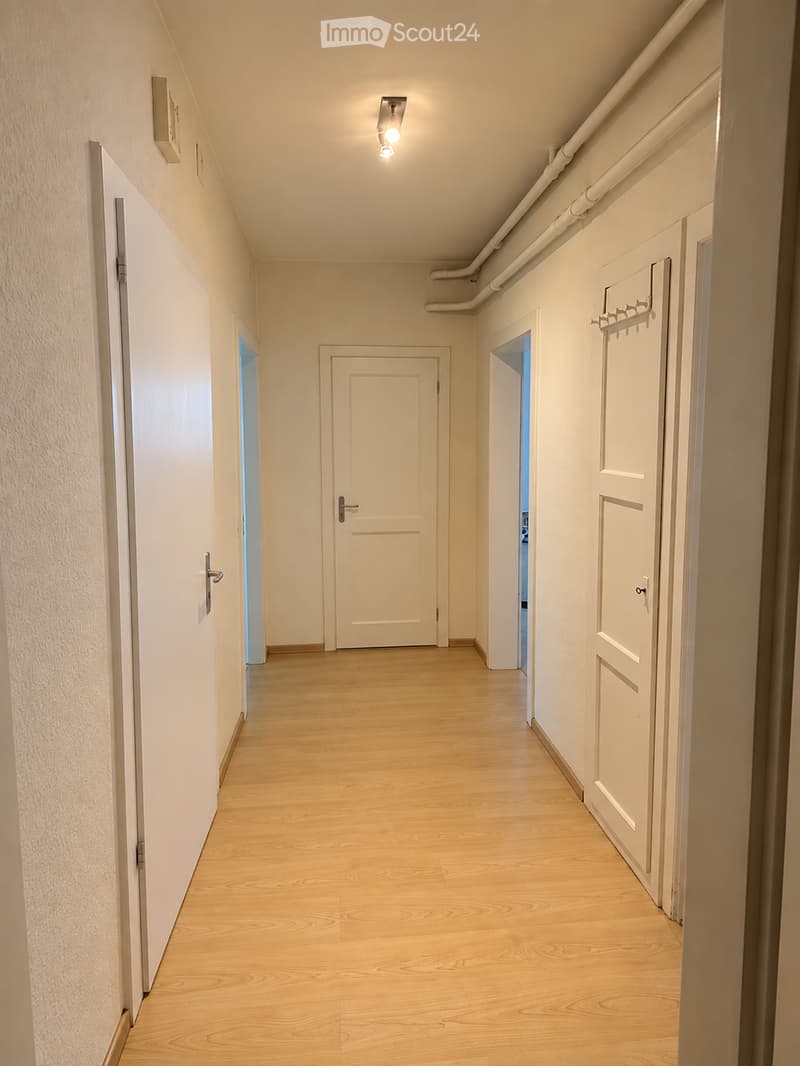 Clean, well-lit hallway with light wooden flooring, white walls, and several closed doors. Features a ceiling light fixture and a coat rack on the right wall.
