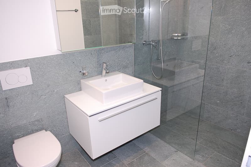 Modern bathroom with a white sink on a cabinet, a toilet, a glass-enclosed shower, and a large mirror above the sink.