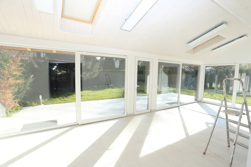 Bright, empty room with large glass sliding doors leading to a garden, white walls, and a slanted wooden ceiling. A ladder is positioned near the right side.
