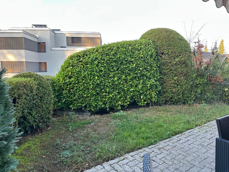Garden area with neatly trimmed hedges, a paved pathway, and a modern house in the background.