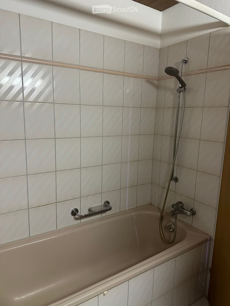 Bathtub with a handheld showerhead and a handrail for support, tiled walls with a window above the tub.