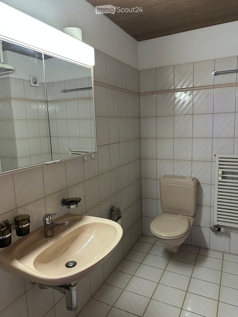 Clean bathroom with a sink, toilet, mirror, radiator, and a cup on the sink counter.