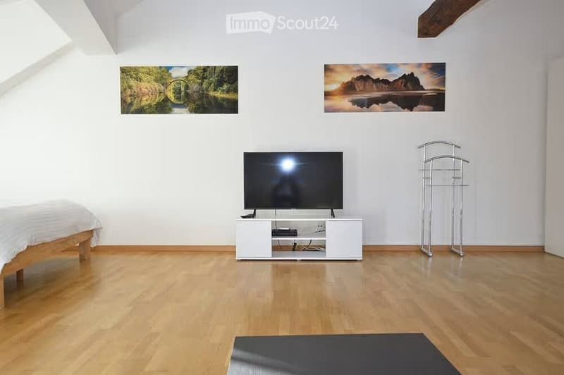 Bright bedroom with wooden flooring, a bed with white bedding, a TV on a white stand, and a metal rack near the wall.