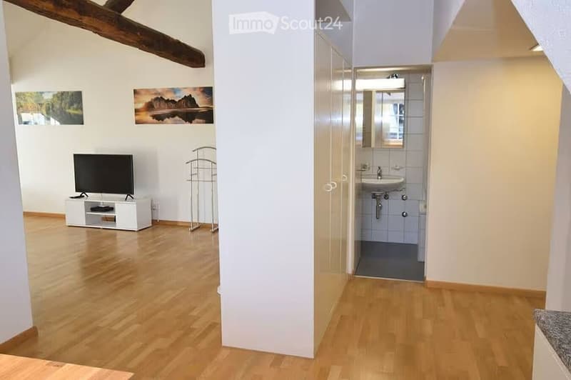 The image shows a furnished room with a TV on a stand, a mirror, and a sink in the background. The room has wooden flooring and white walls.