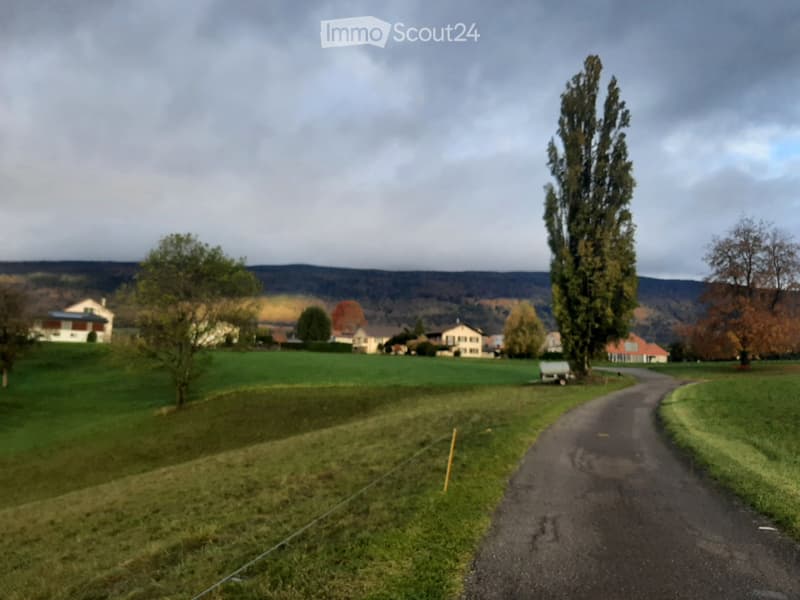 Rural landscape with a dirt road, grassy field, scattered trees, and distant houses under a cloudy sky.
