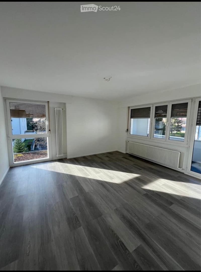 Empty room with wooden flooring, white walls, large windows with blinds, and radiators on both sides.