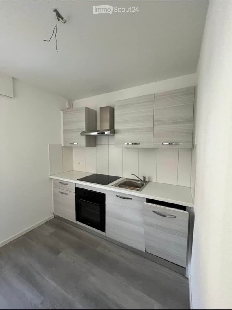 Modern kitchen with light grey cabinets, white countertops, stainless steel appliances including an oven, sink, and dishwasher, and a range hood above the stove.