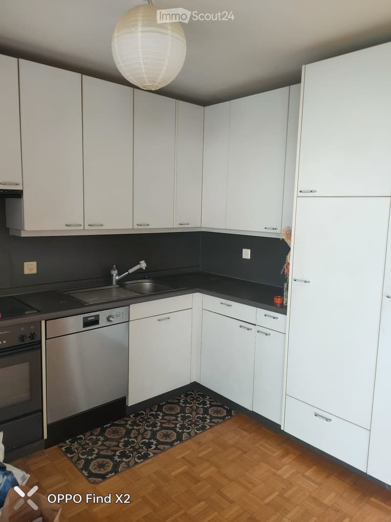 Modern kitchen with white cabinets, black countertops, stainless steel sink and dishwasher, and a patterned rug on the wooden floor.