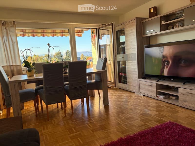 Bright living and dining area with wooden flooring, large windows offering a scenic view, a dining table with chairs, a television on a cabinet, and a red shag rug.