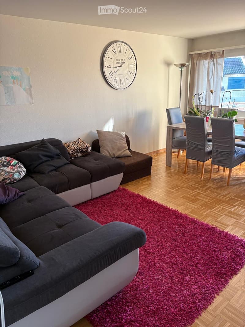 Modern living room with a dark grey sectional sofa, colorful throw pillows, a vibrant red shag rug, a dining area with chairs and a table, a large wall clock, and a floor lamp near the window.