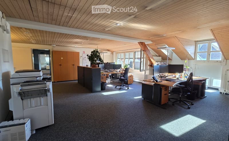 Office space with wooden ceiling, desks, chairs, computers, printers, cabinets, and plants.