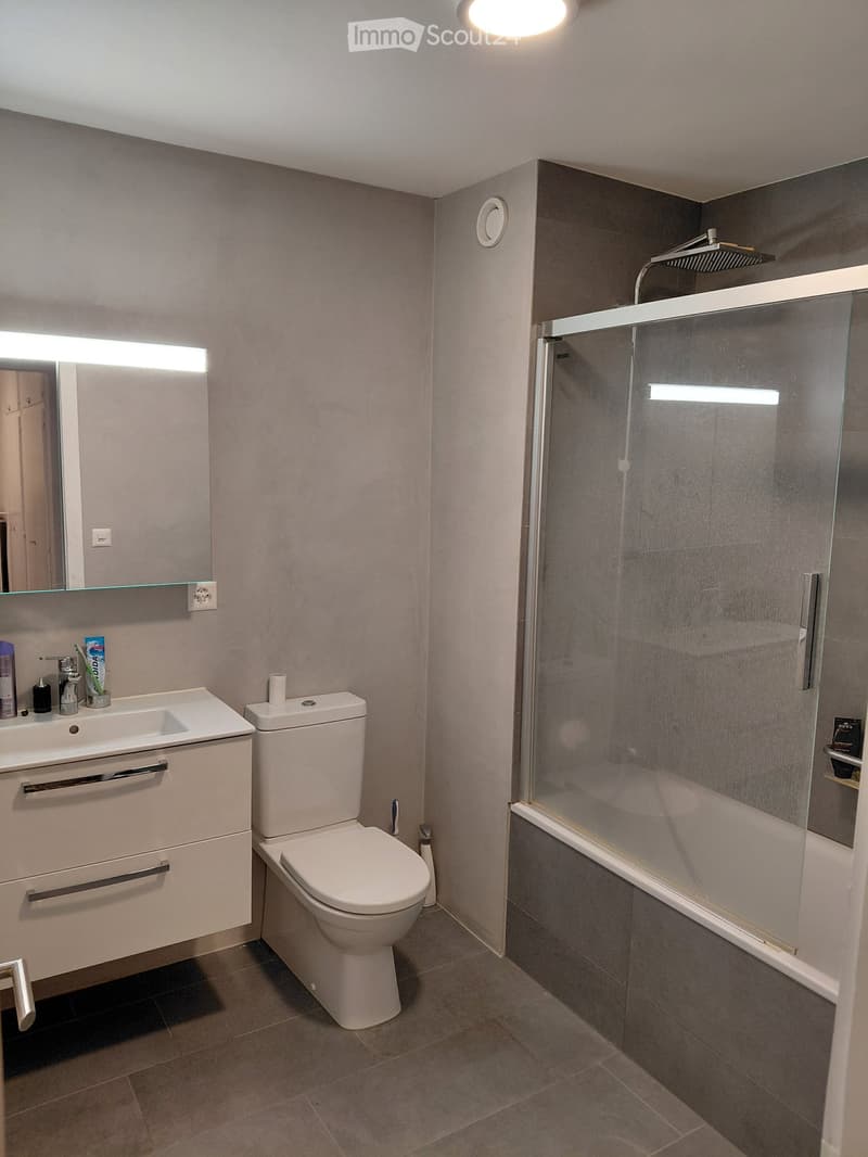 Modern bathroom with a white sink, toilet, and glass-enclosed shower. Grey tiled walls and floor, illuminated mirror, and various toiletries on the sink counter.