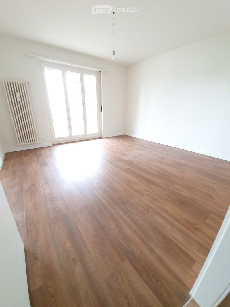 Empty room with wooden flooring, white walls, large sliding glass doors, radiator, and a single hanging light fixture.