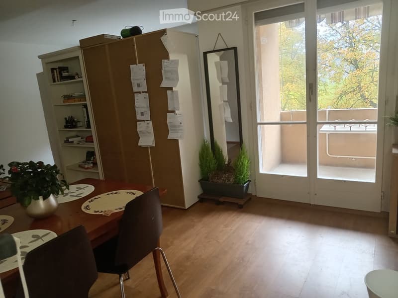 Bright room with wooden flooring, a large table with chairs, a shelf with books and decorative items, a mirror, and a balcony with potted plants visible through the glass door.