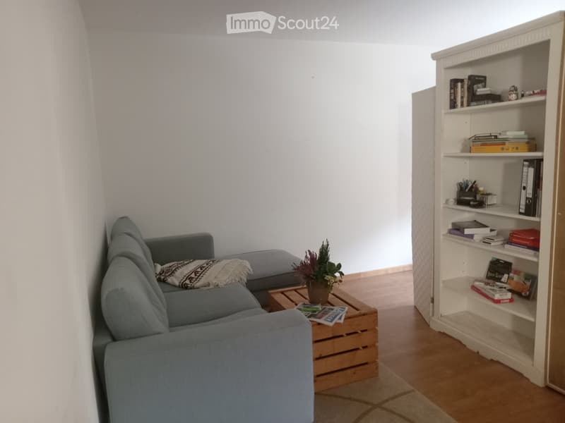 Modern living room with a grey sofa, wooden coffee table, bookshelf, and decorative plant.