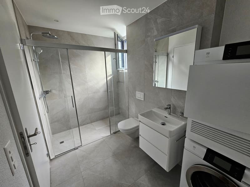 Modern bathroom with a glass-enclosed shower, toilet, sink, mirror, and built-in washing machine.