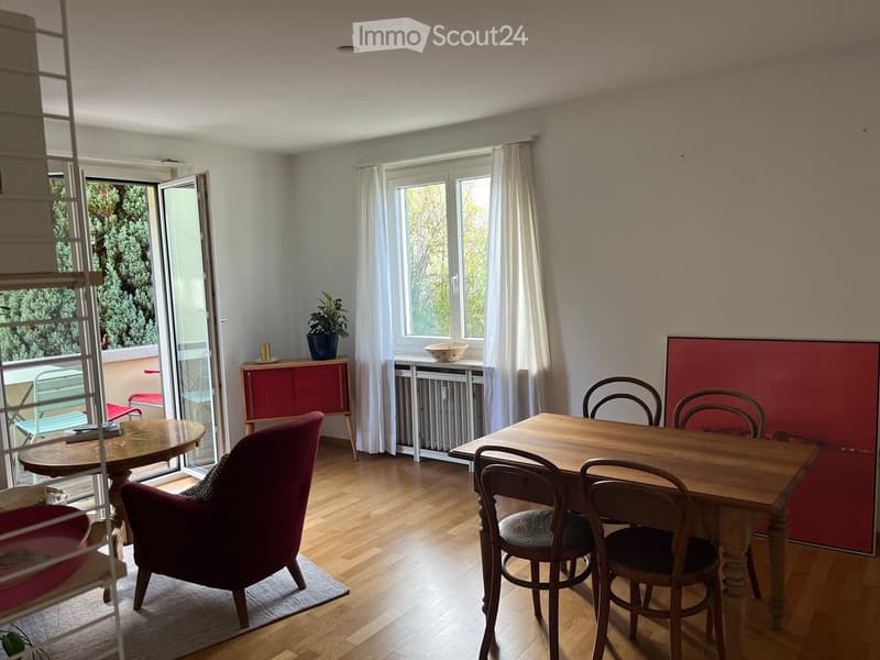 Dining area with wooden table, chairs, red cabinet, plant, and bowl on windowsill. Open sliding door leads to balcony.