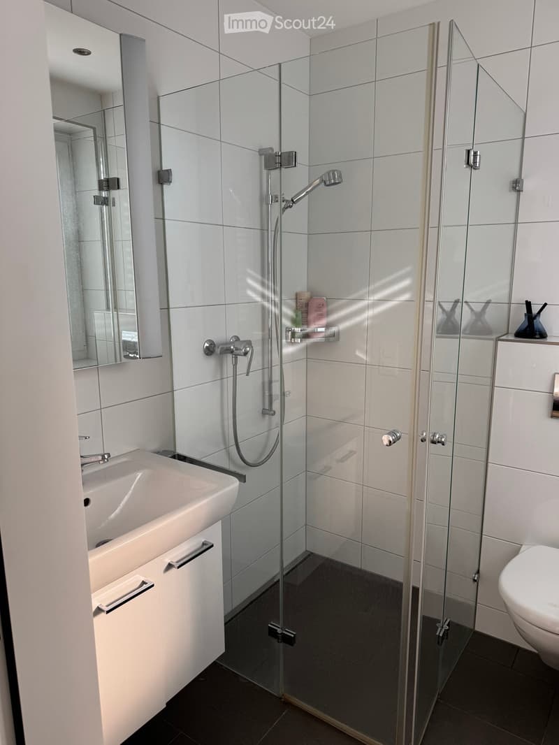 Modern bathroom with white tiles, a glass-enclosed shower, a sink with a mirror, and a toilet. Features a sleek, contemporary design with a dark floor and silver fixtures.