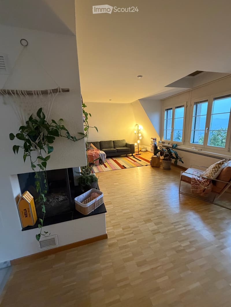 Bright living room with wooden flooring, large windows, a grey sofa, a fireplace, a chair, and a potted plant. The room features a colorful striped rug and a floor lamp near the windows.