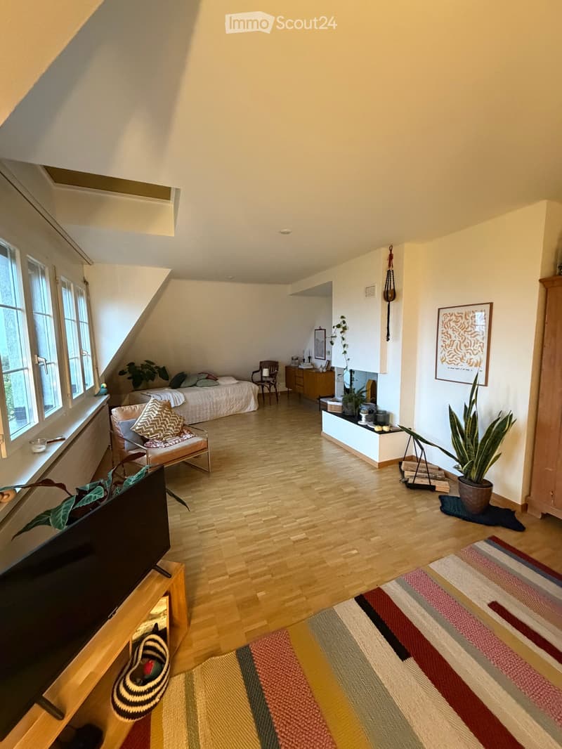 A modern, open-concept living and sleeping area with wooden flooring, large windows, a sofa, a bed, a television, and several plants.