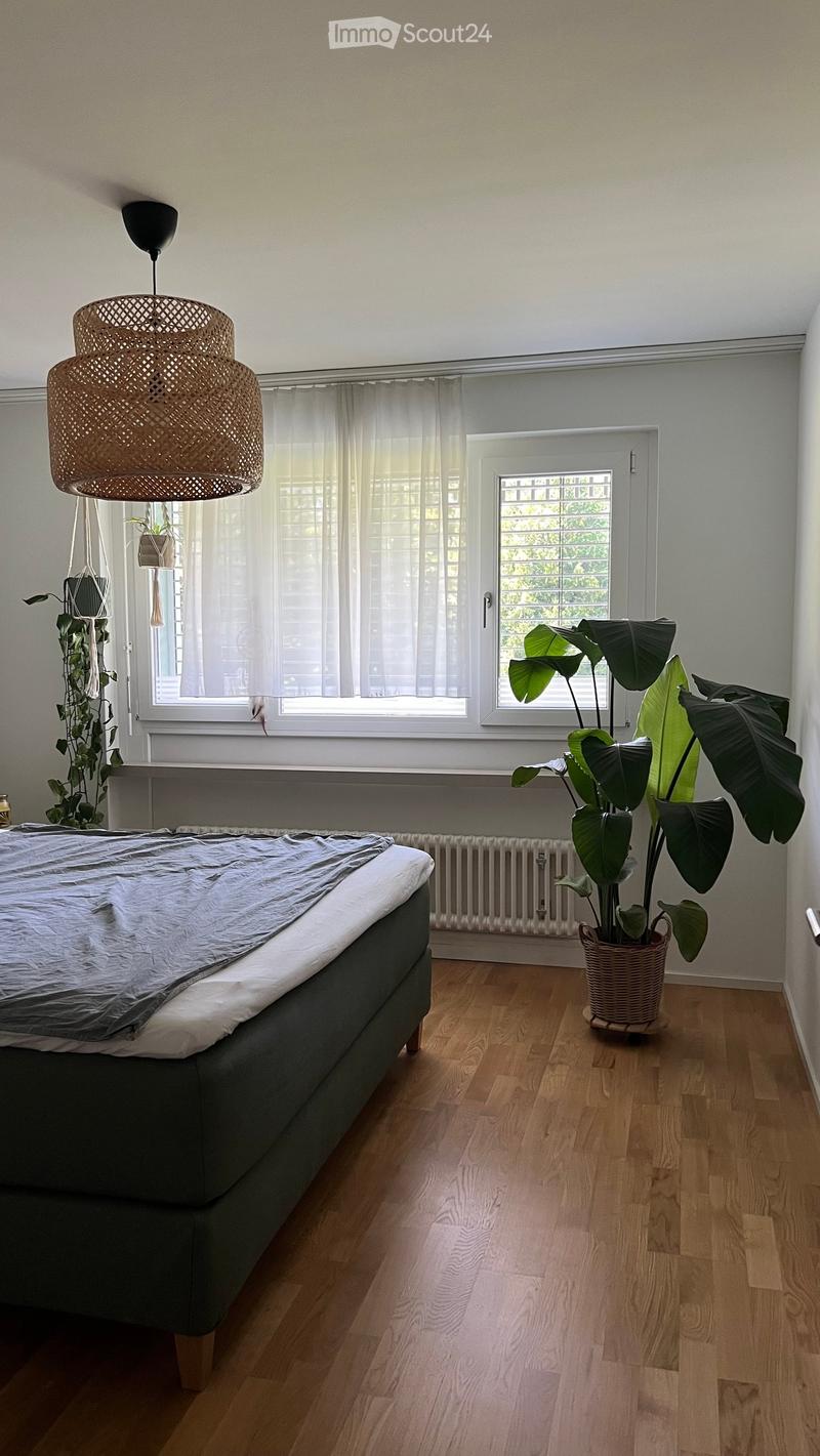 Bright bedroom with wooden flooring, a grey bed, large window with white curtains, and potted plants including a large leafy plant near the window.
