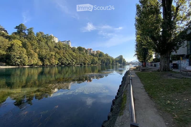 A serene riverside scene with calm water reflecting surrounding trees and buildings, a paved walkway lined with trees, and distant urban structures visible on the opposite bank.