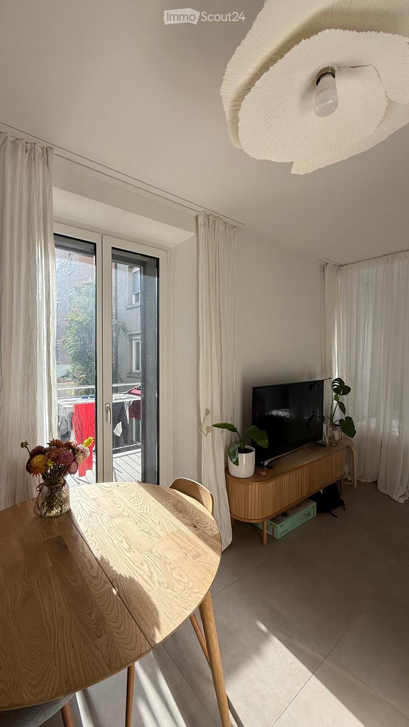 Bright living room with a wooden dining table, chairs, TV on a wooden stand, and a potted plant near the window. Large sliding glass doors lead to a balcony.