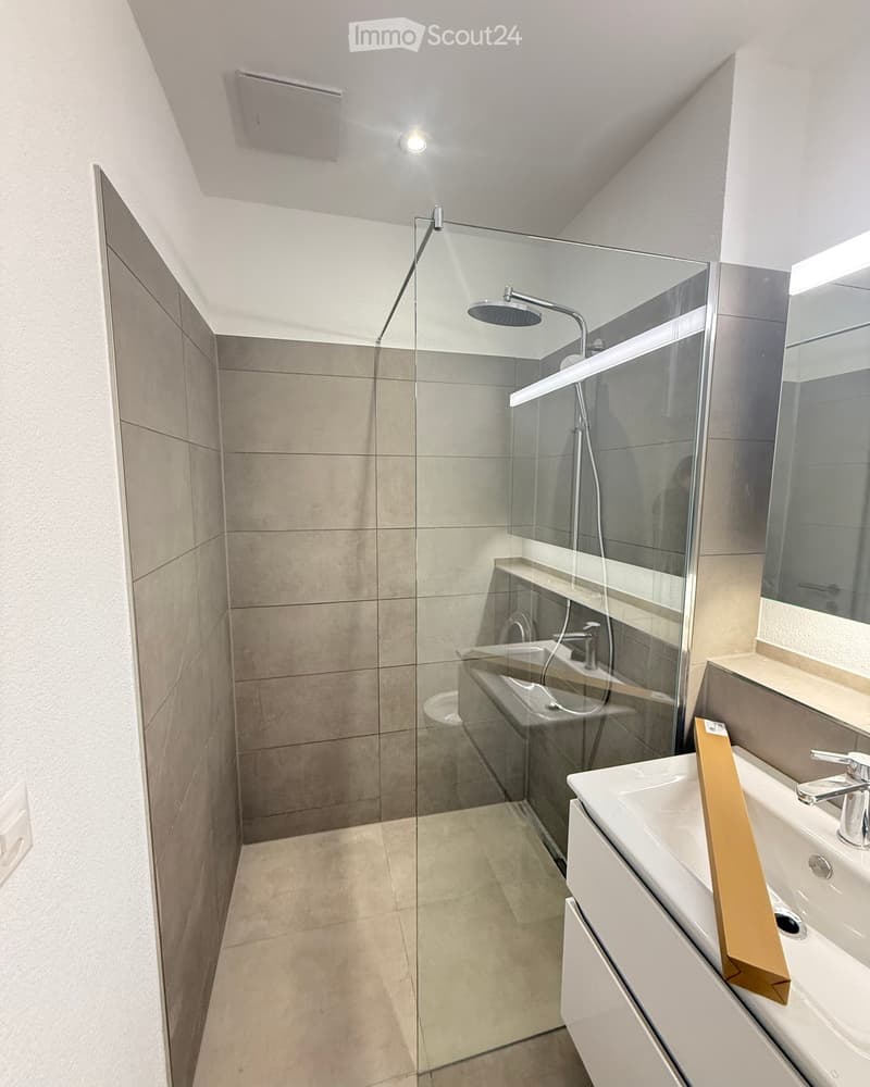 Modern bathroom with a glass-enclosed shower, a white sink with a chrome faucet, and a large mirror above the sink.