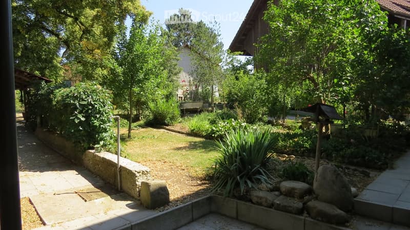Garden with grass, rock garden, a variety of plants and trees, concrete pathway, wooden bench