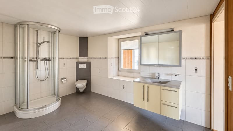 Modern bathroom with a walk-in shower, toilet, sink, and mirrored cabinet.