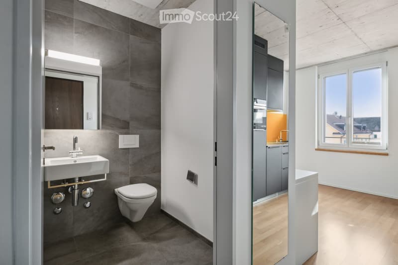 Modern bathroom with a white sink, toilet, and large mirror. The walls are tiled in grey, and the floor is also grey. A glass partition separates the bathroom from the adjacent room.