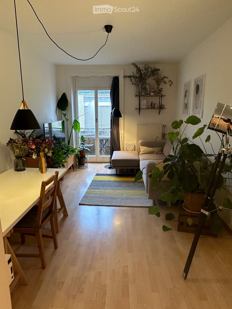 Bright living and dining area with wooden flooring, a sofa, ottoman, dining table, chairs, pendant lamp, floor lamp, and several potted plants. A large window with blinds leads to a balcony.