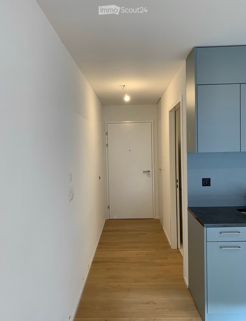 A narrow hallway with light wooden flooring, white walls, and a closed door at the end. A small section of a kitchen with light blue cabinets is visible on the right side.