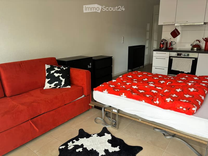 A compact living space with a red sofa, a bed with a red blanket, a black rug, and a small kitchen area with cabinets, a fridge, and an oven.