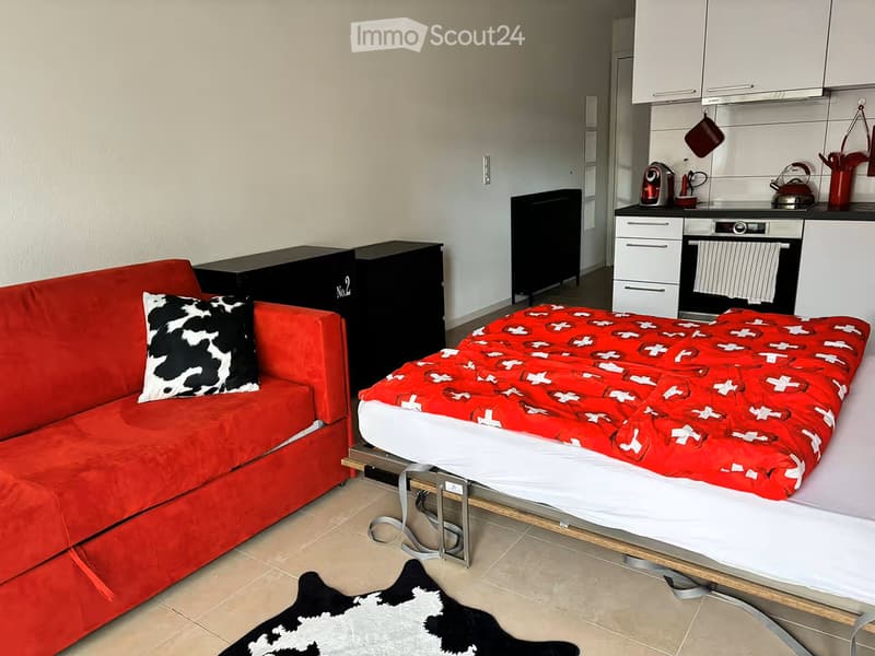 A compact studio apartment with a red sofa, a bed with a red blanket, a small kitchen area with cabinets, a refrigerator, and an oven. The room features a cowhide rug on the floor.